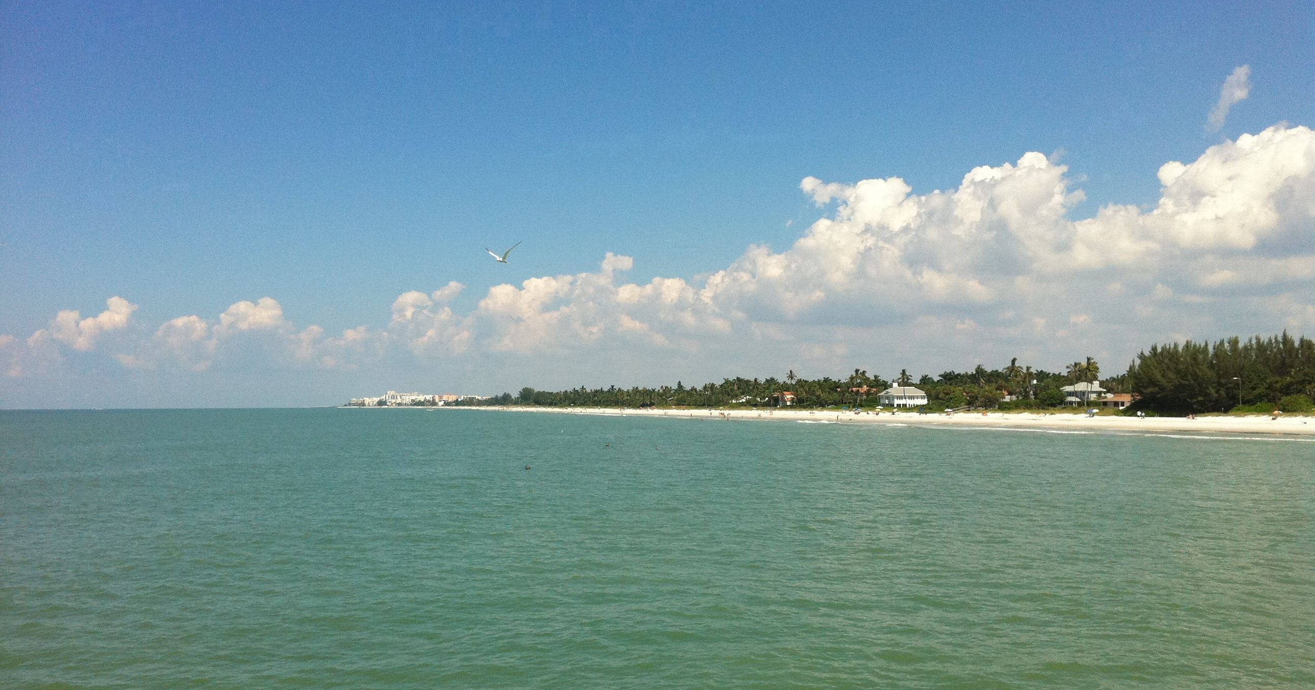 Naples Pier (Florida)