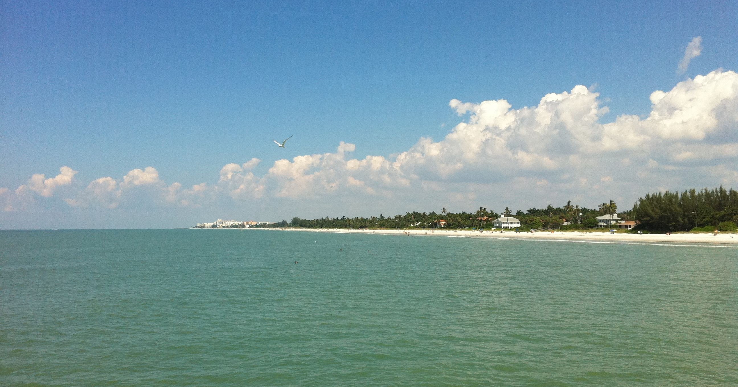 Naples Pier (Florida)